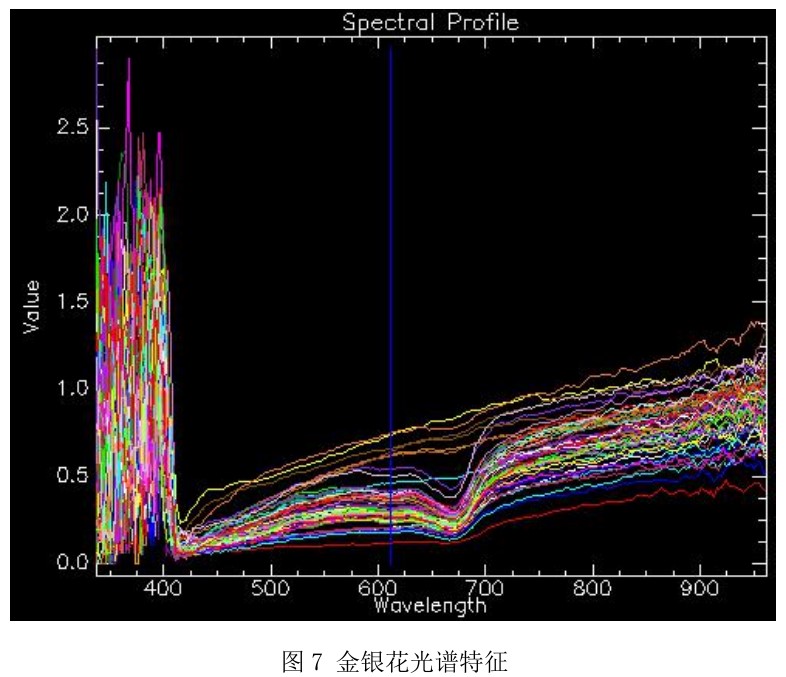 高光譜相機在工業檢測中的應用—金銀花、山銀花中藥材檢測案例